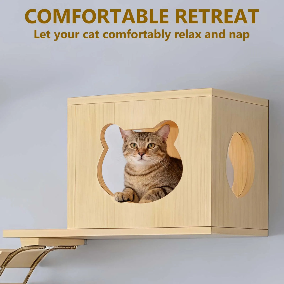 Katzen-Wandkletterset 5-teilig