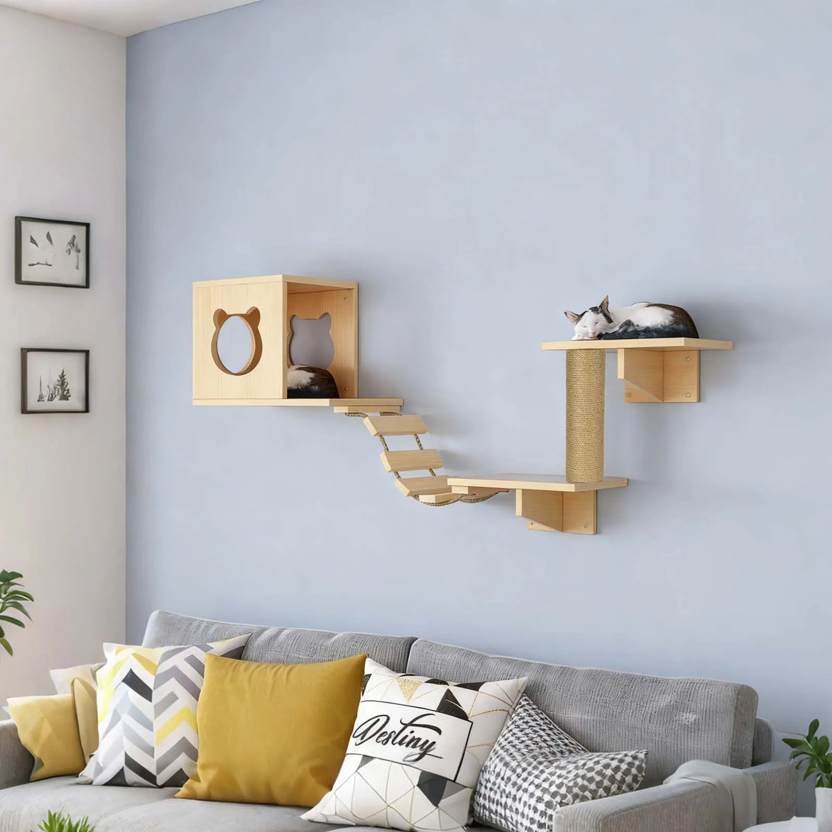 Katzen-Wandkletterset 5-teilig