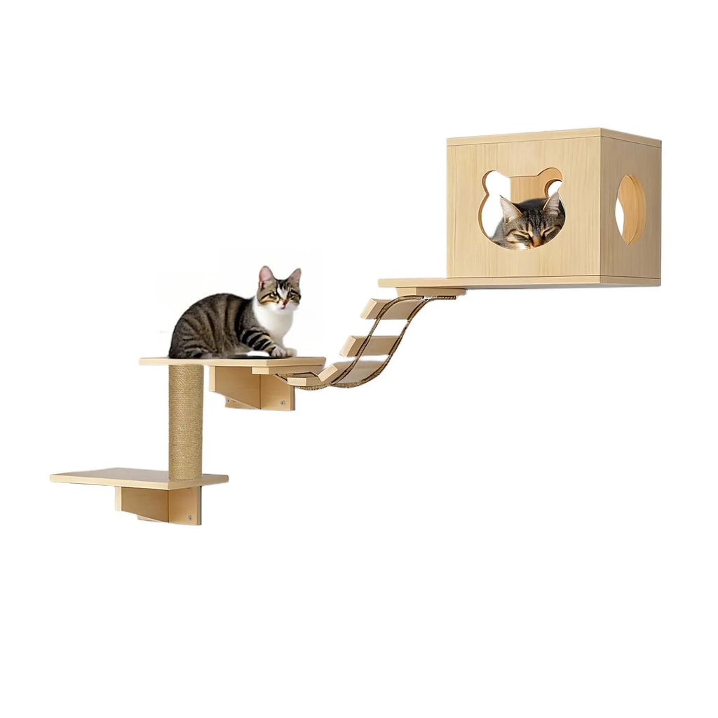 Katzen-Wandkletterset 5-teilig
