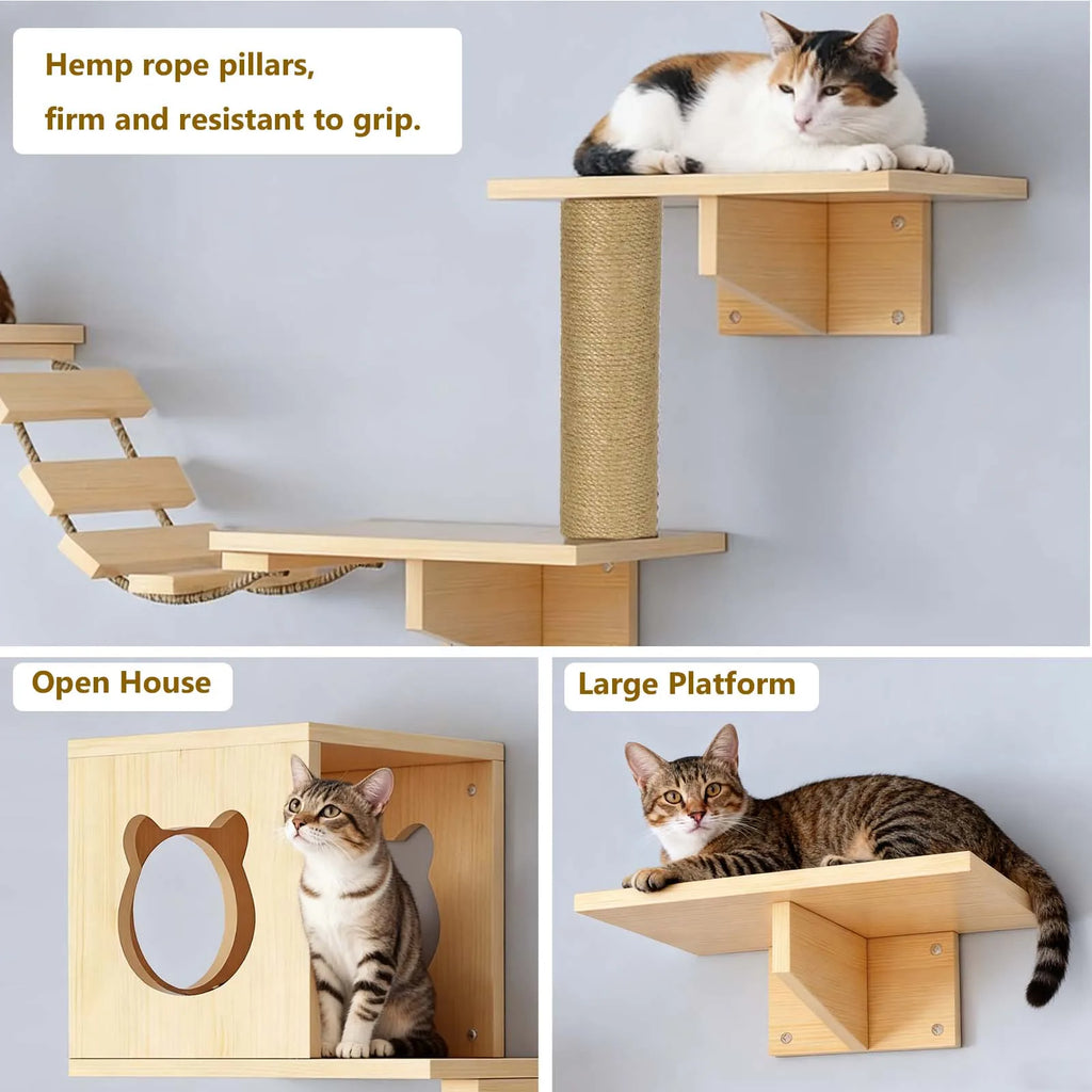 Katzen-Wandkletterset 5-teilig
