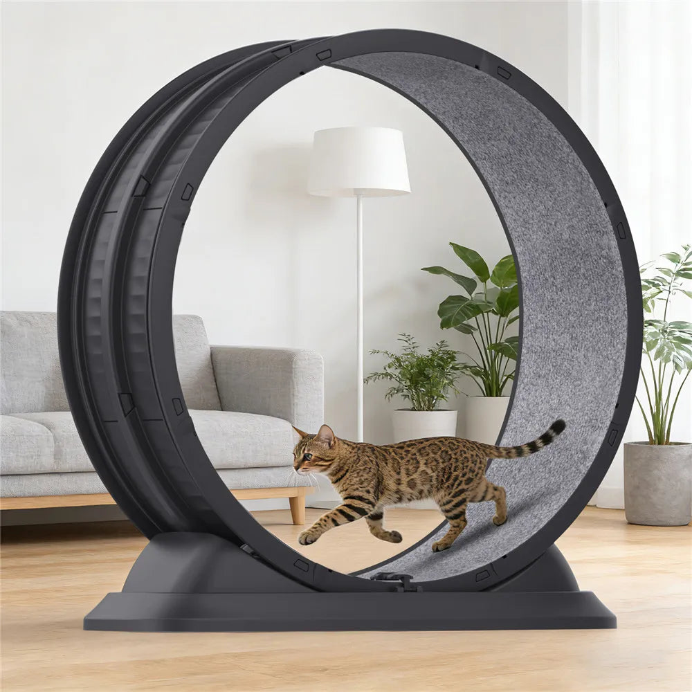 Katzenlaufrad 75cm