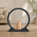 Katzenlaufrad 75cm in minimalistischer Wohnkulisse
